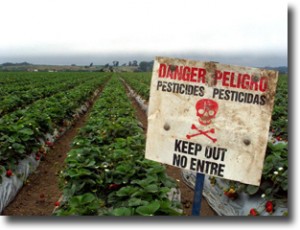 Pesticide2